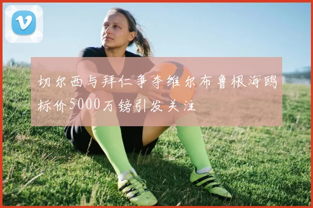 切尔西与拜仁争夺维尔布鲁根海鸥标价5000万镑引发关注