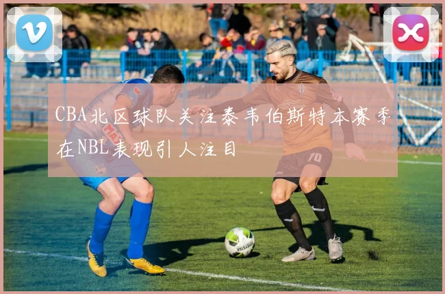 CBA北区球队关注泰韦伯斯特本赛季在NBL表现引人注目