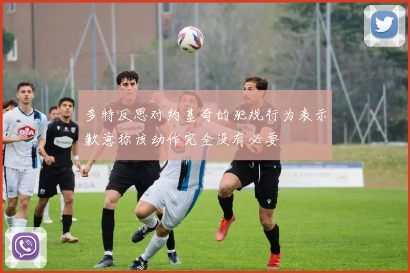 多特反思对约基奇的犯规行为表示歉意称该动作完全没有必要